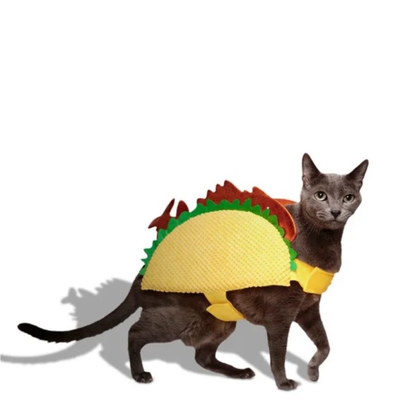 PETS - TACO 🌮 Costume - Picture 2 of 16